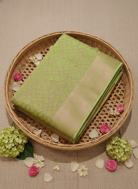 Pastel Green Traditional Saree